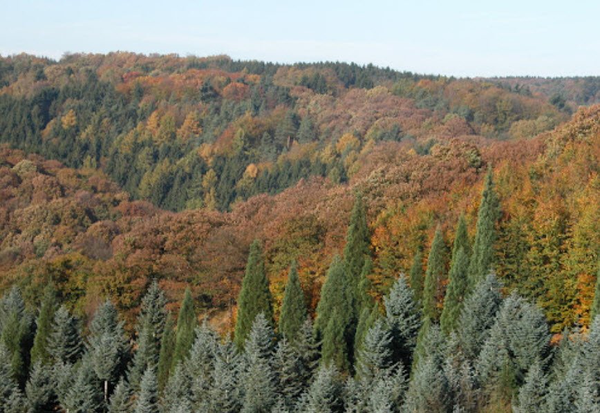 Arboretum Burgholz , Germany